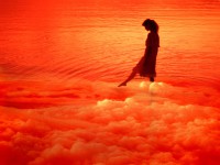 /album/photo-gallery-ljubov-i-romantika/love-and-romance-wallpapers-054-jpg/